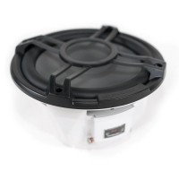 Roswell RMA 12 inç Marine Subwoofer Adet