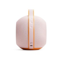 Devialet Mania Taşınabilir Hi-Fi Hoparlör - Özel Sürüm