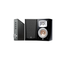 Yamaha WXA-50&NS-333 Network Streaming Müzik Sistemi