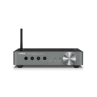 Yamaha WXA-50&NS-333 Network Streaming Müzik Sistemi