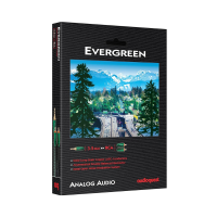 Audioquest Evergreen 3,5mm-RCA Kablo 1 mt