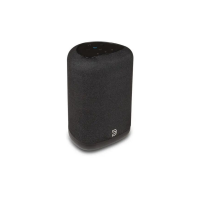 Bluesound Pulse Flex P130 Wireless All-In-One Music Streaming Speaker