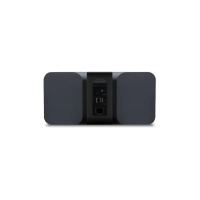 Bluesound Pulse 2i Premium Wireless Multi-Room Music Streaming Speaker