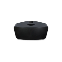 Bluesound Pulse 2i Premium Wireless Multi-Room Music Streaming Speaker