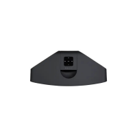 Bluesound Pulse 2i Premium Wireless Multi-Room Music Streaming Speaker