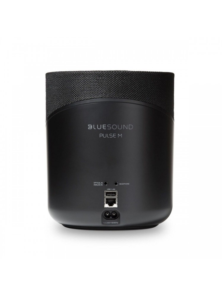 Bluesound Pulse M Taşınabilir Kablosuz Hoparlör
