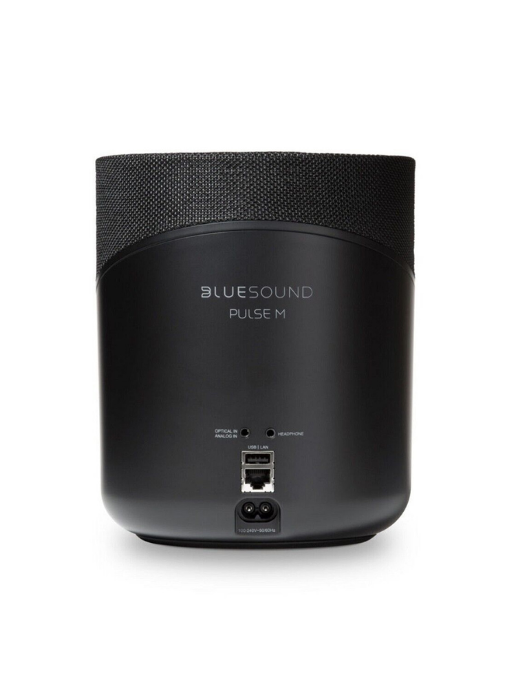 Bluesound Pulse M Taşınabilir Kablosuz Hoparlör