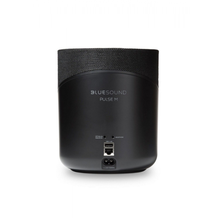 Bluesound Pulse M Taşınabilir Kablosuz Hoparlör