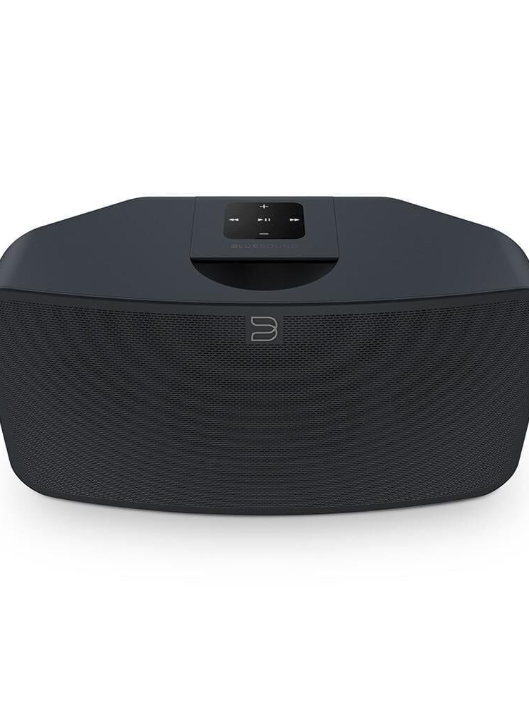 Bluesound Pulse Mini 2i Taşınabilir Kablosuz Hoparlör