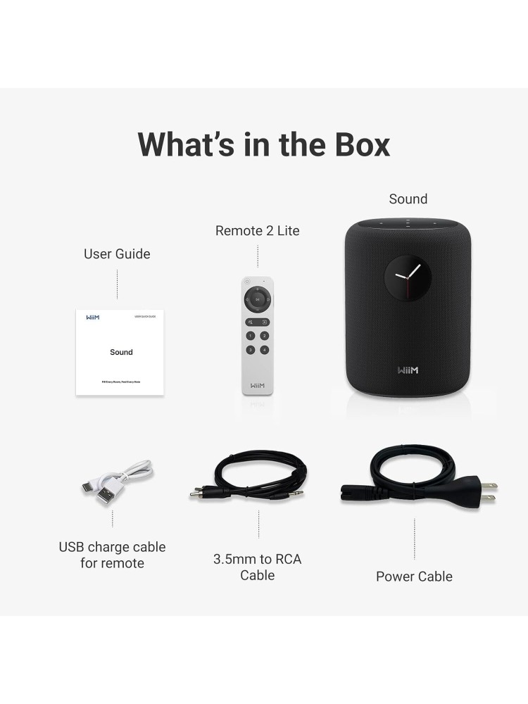 Wiim Sound Network Akıllı Hoparlör