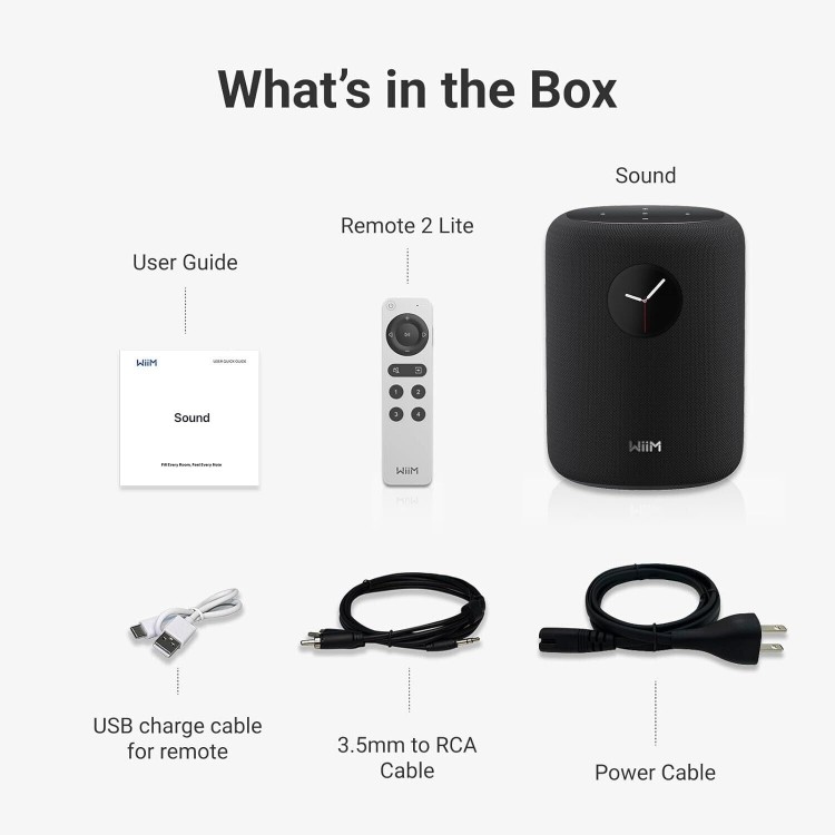 Wiim Sound Network Akıllı Hoparlör