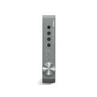 Yamaha WXA-50 MusicCast Network Streaming Amplifer
